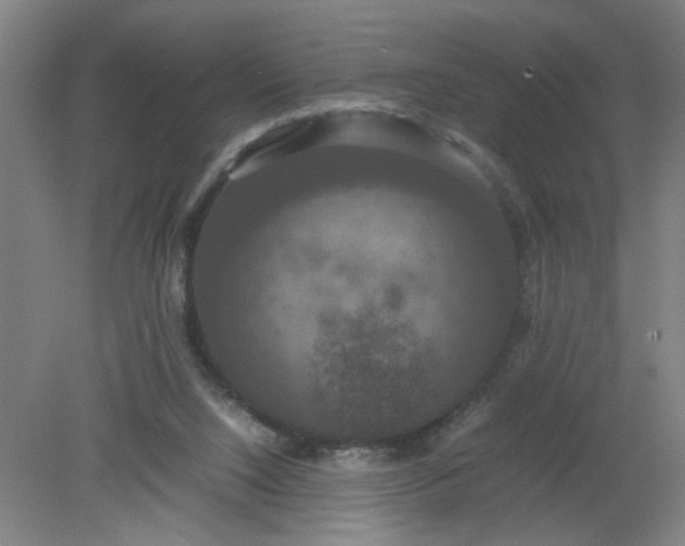 X0000079320064200612011853