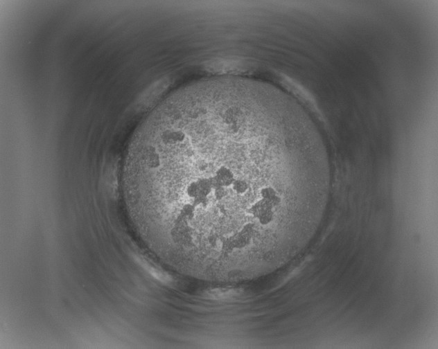 X0000079320065200612011853