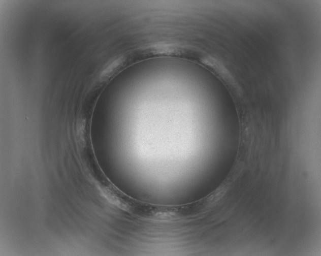 X0000079320066200612011853