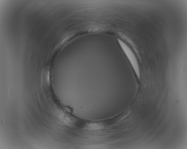 X0000079320067200612011853