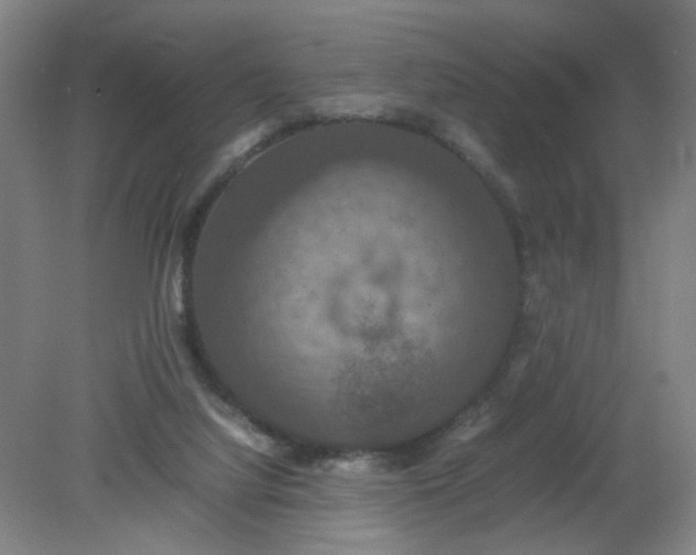 X0000079320068200612011853