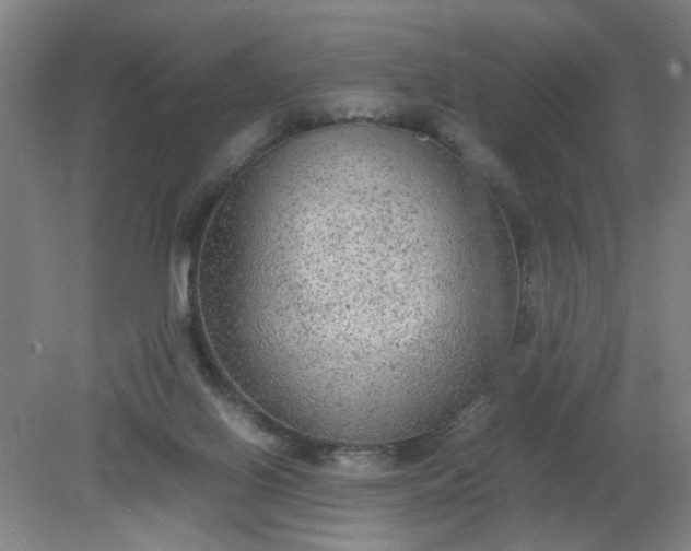 X0000079320070200612011853