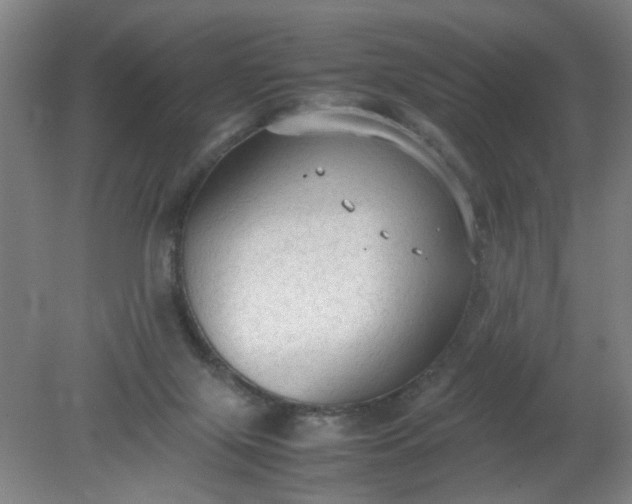 X0000079320071200612011853