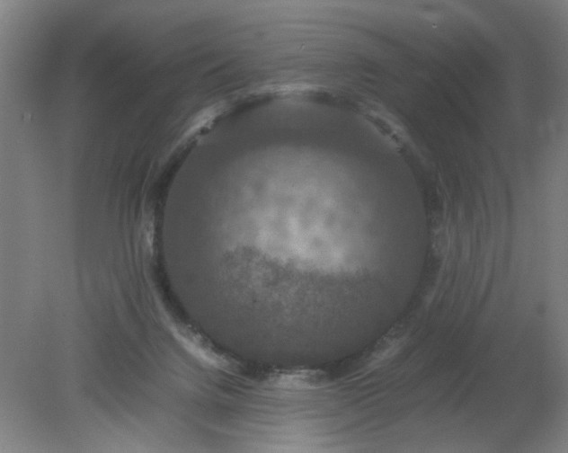 X0000079320072200612011853