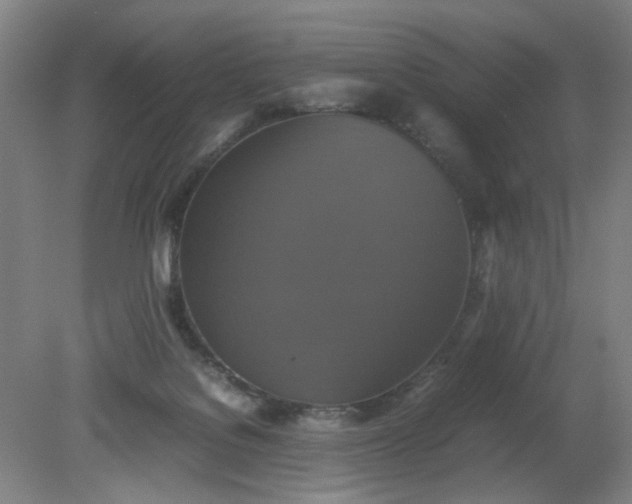 X0000079320076200612011853