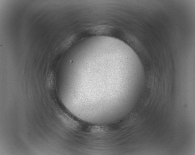 X0000079320077200612011853