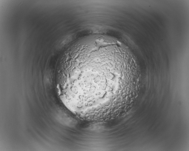 X0000079320078200612011853