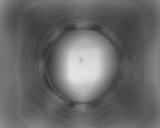 X0000079320079200612011853