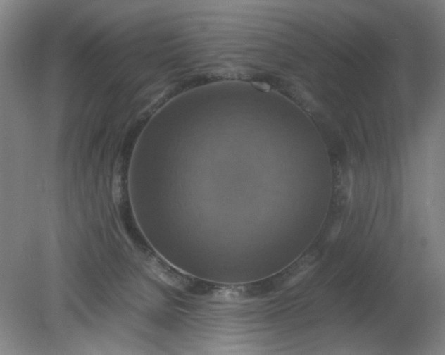 X0000079320080200612011853