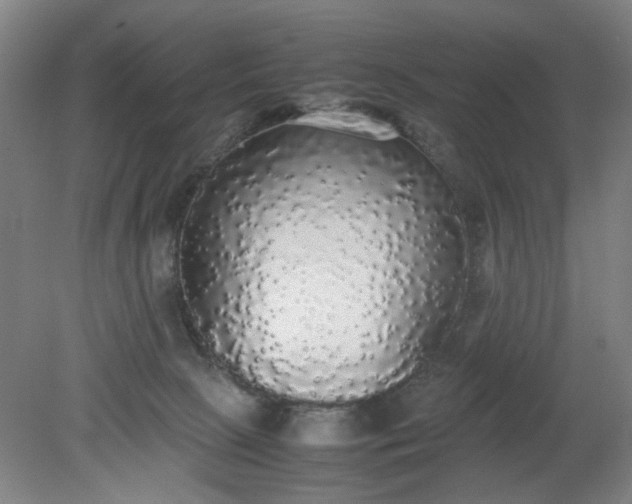 X0000079320081200612011853