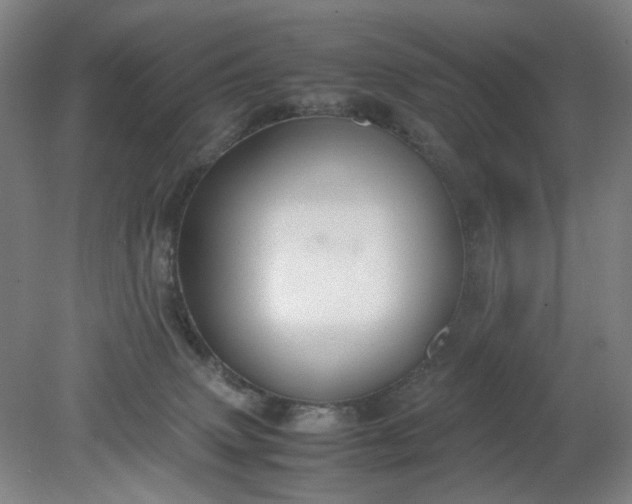 X0000079320083200612011853