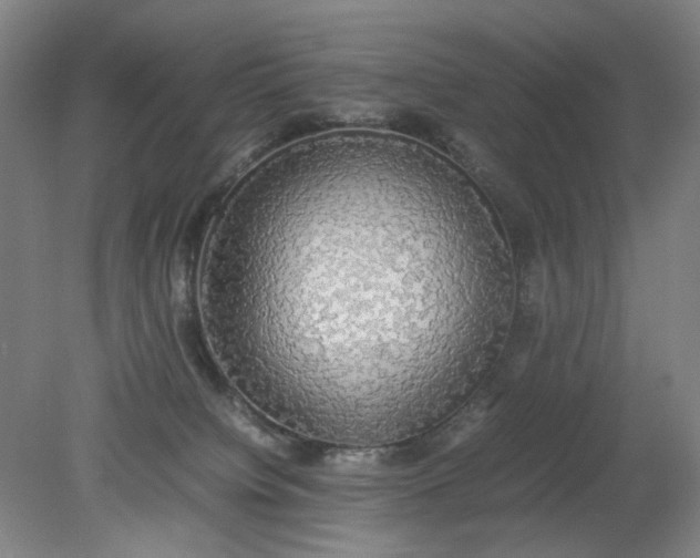 X0000079320084200612011853