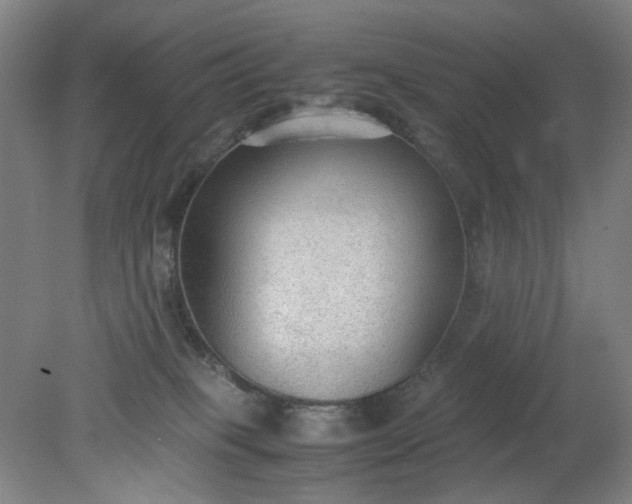 X0000079320085200612011853