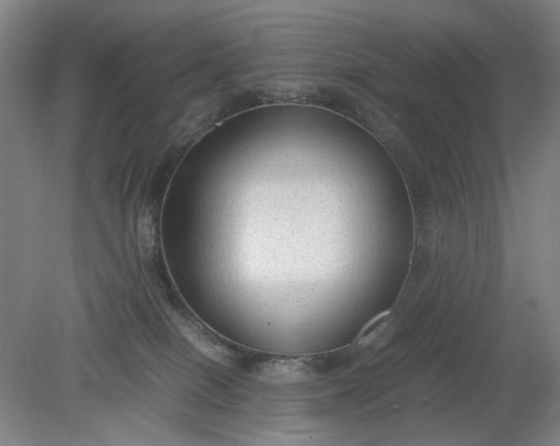 X0000079320086200612011853