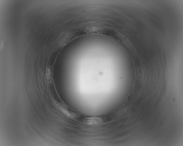 X0000079320087200612011853