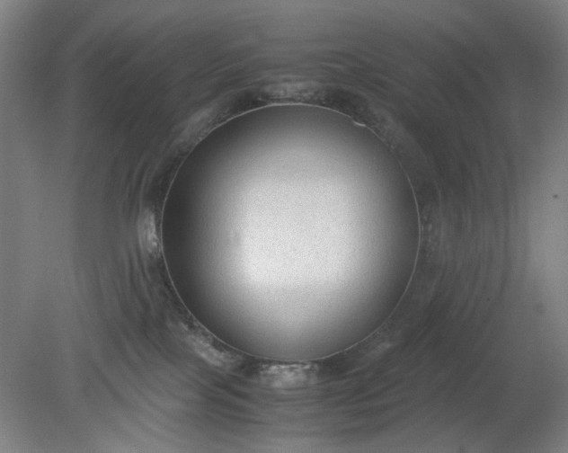 X0000079320089200612011853