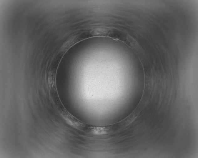 X0000079320091200612011853