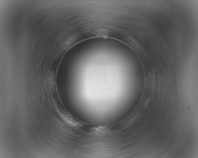 X0000079320092200612011853