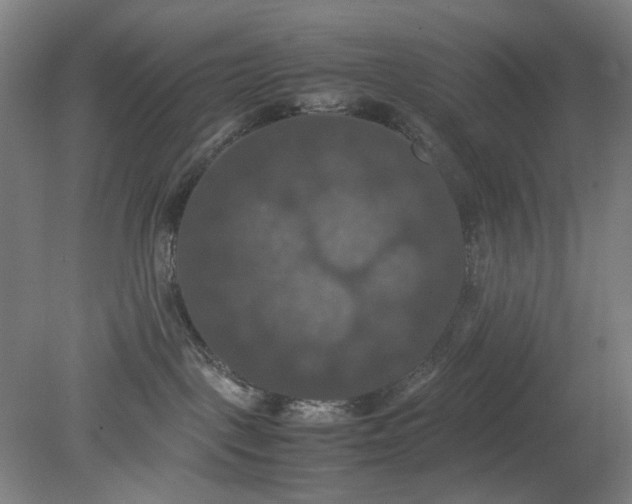 X0000079320093200612011853