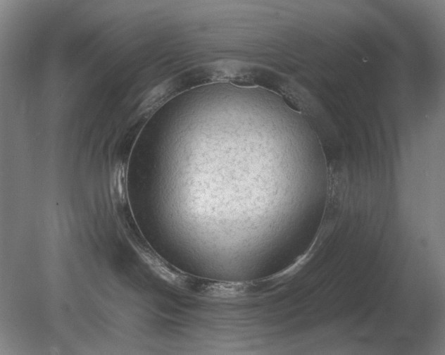 X0000079320094200612011853