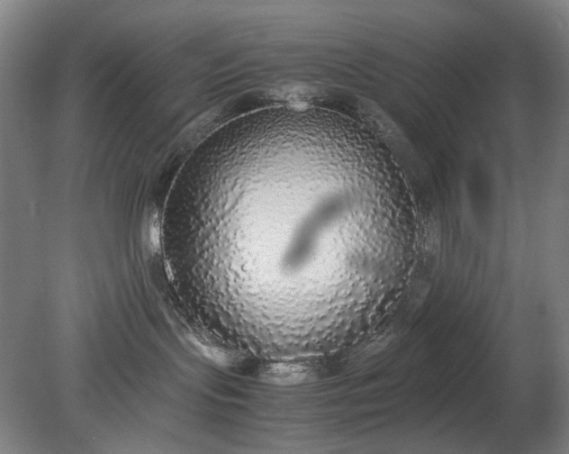 X0000079320095200612011853