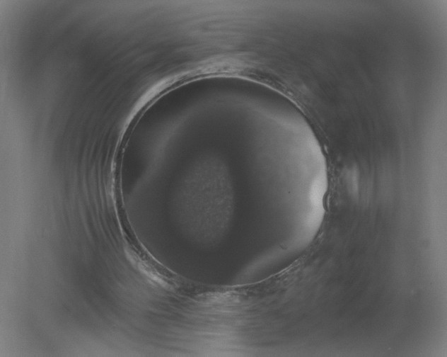 X0000079320100200612011852