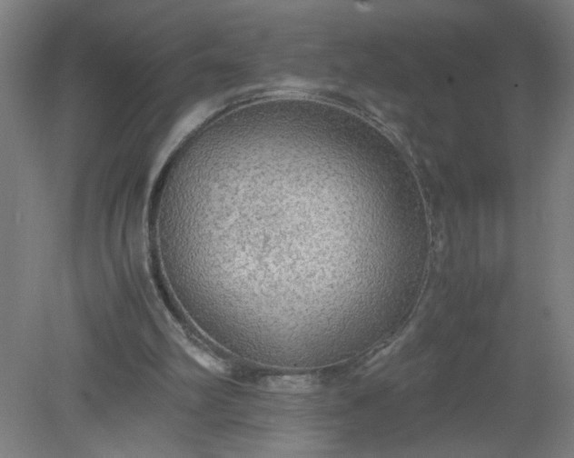 X0000079320102200612011852