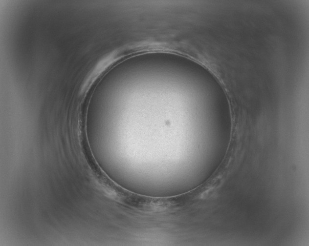 X0000079320103200612011852