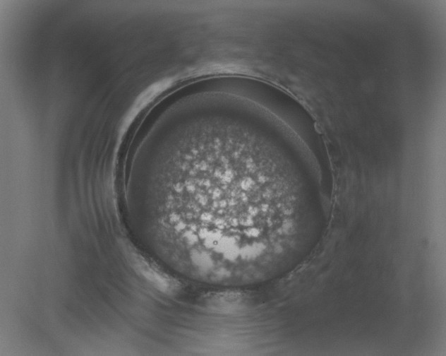 X0000079320104200612011852