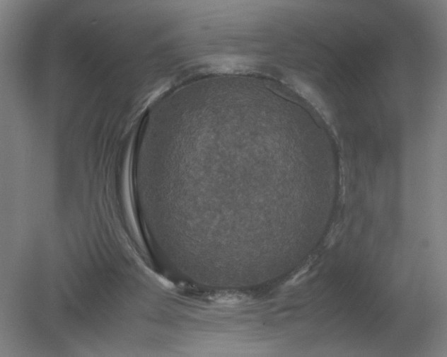 X0000079320105200612011852