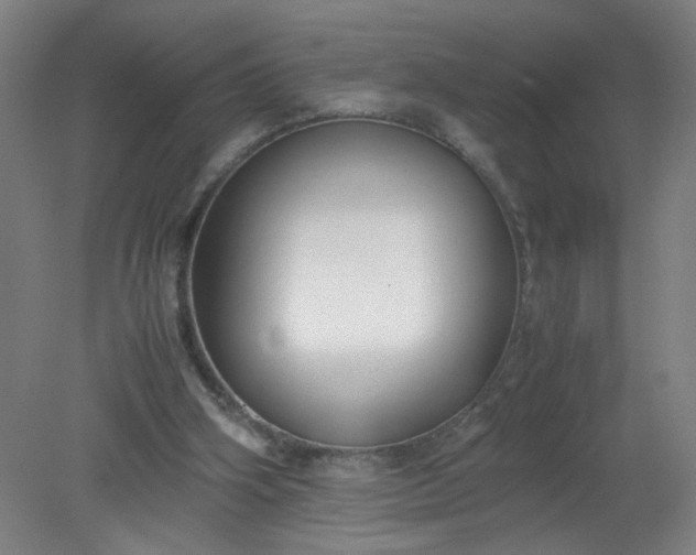 X0000079320106200612011852