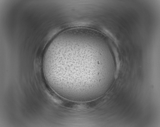 X0000079320107200612011852