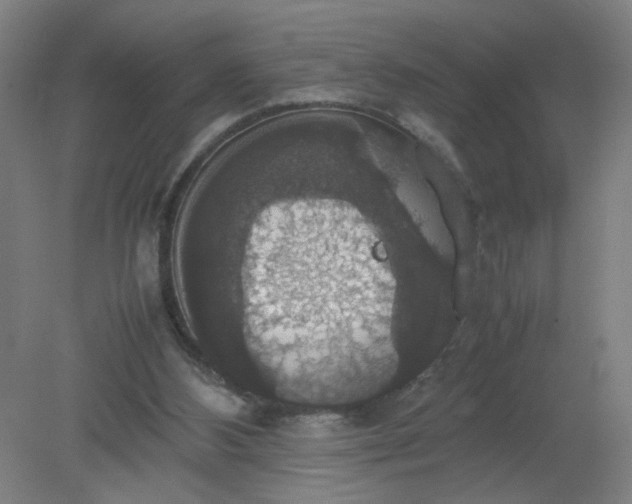 X0000079320108200612011852