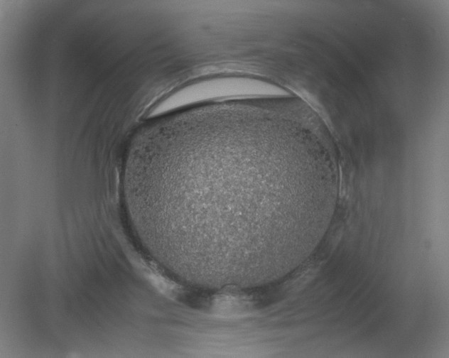 X0000079320109200612011852