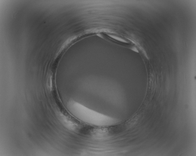 X0000079320110200612011852