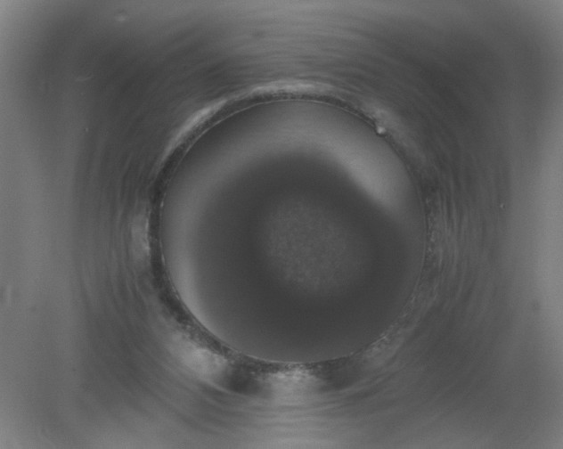 X0000079320112200612011852