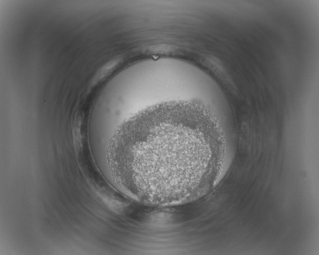 X0000079320116200612011852