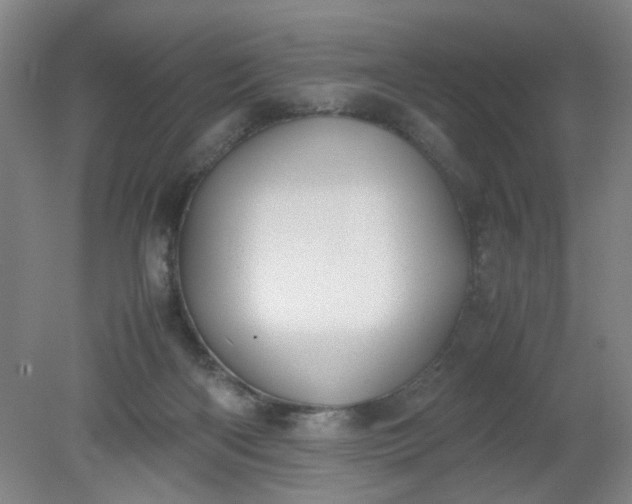 X0000079320122200612011852