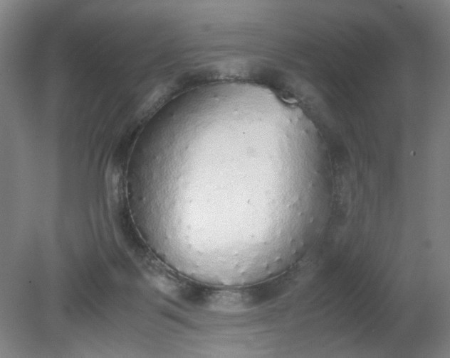 X0000079320123200612011852