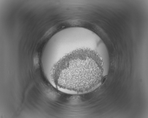 X0000079320124200612011852