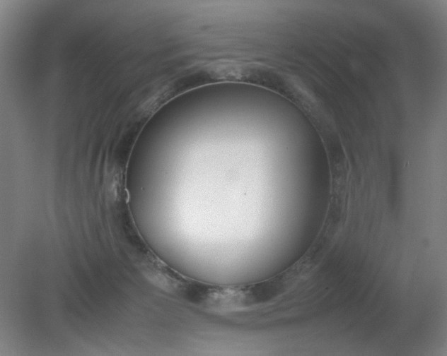 X0000079320125200612011852