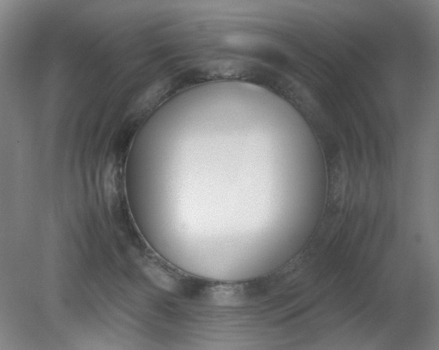 X0000079320126200612011852