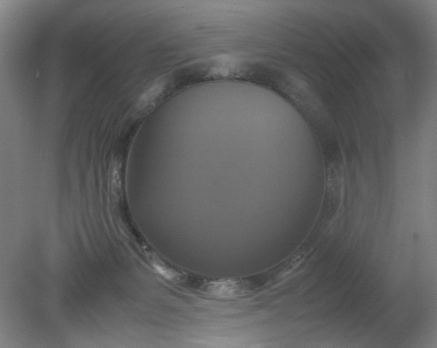 X0000079320127200612011852