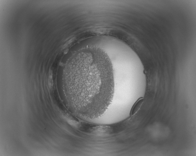 X0000079320128200612011852