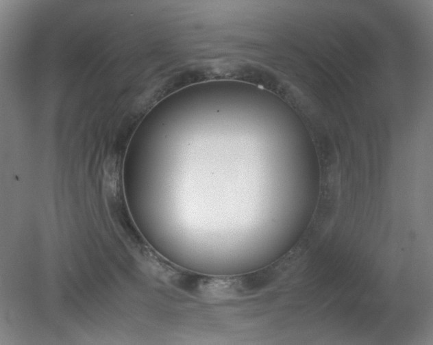 X0000079320129200612011852