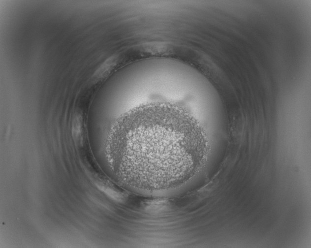 X0000079320132200612011852