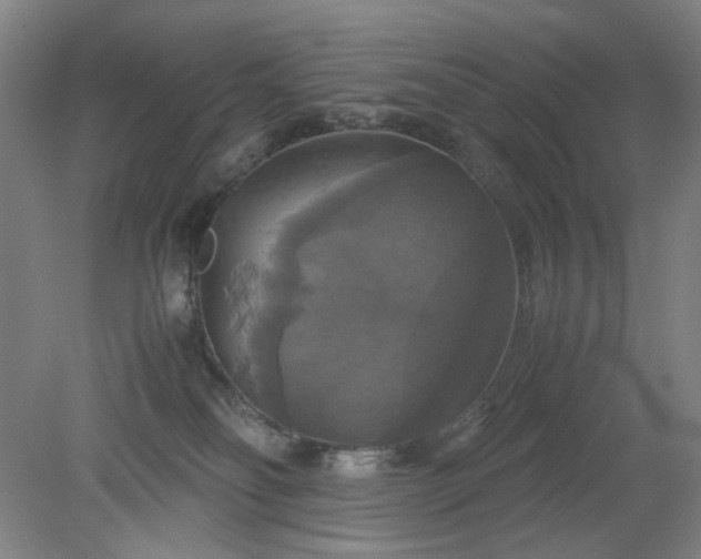 X0000079320134200612011852