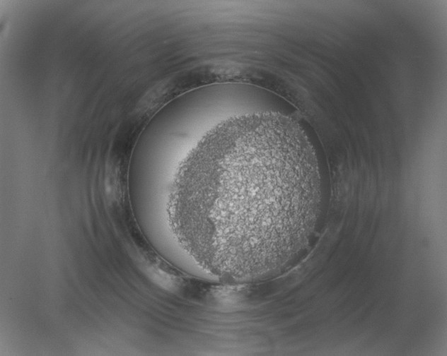 X0000079320136200612011852