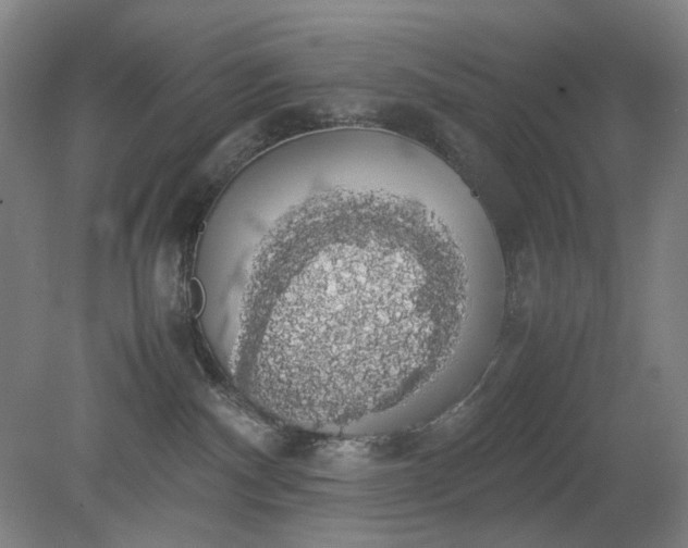 X0000079320140200612011852