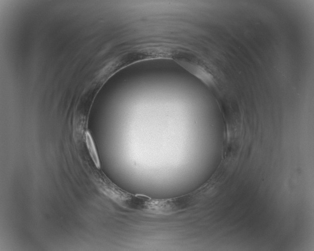 X0000079320141200612011852